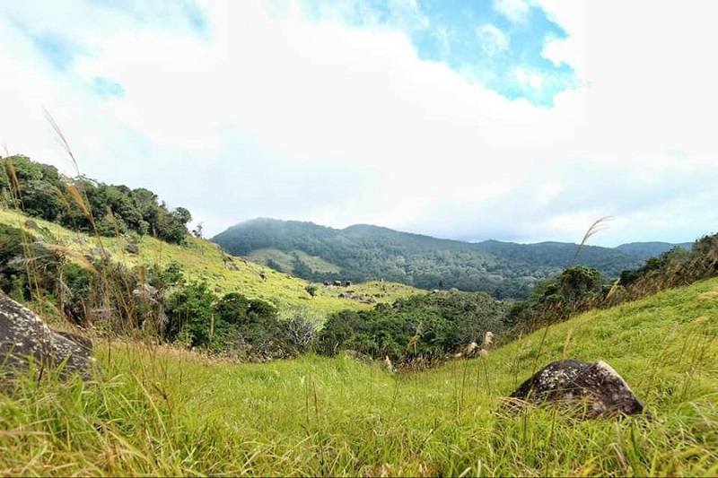 Ảnh slide minh họa 4